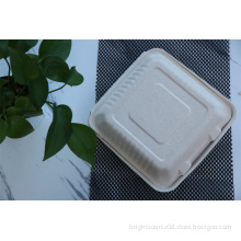 Biodegradable Packaging Paper Box